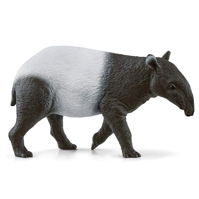 Tapir