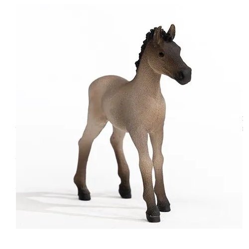 Criollo Definitivo Foal