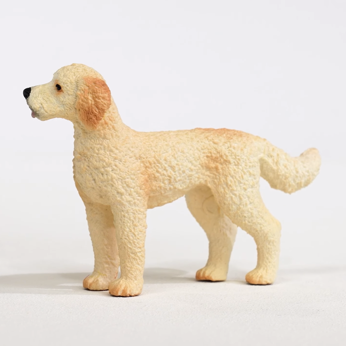 Goldendoodle