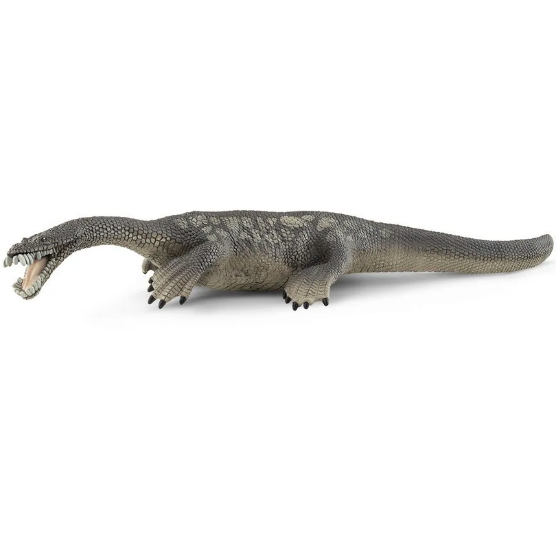 Nothosaurus