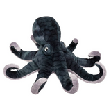 Octopus Winky