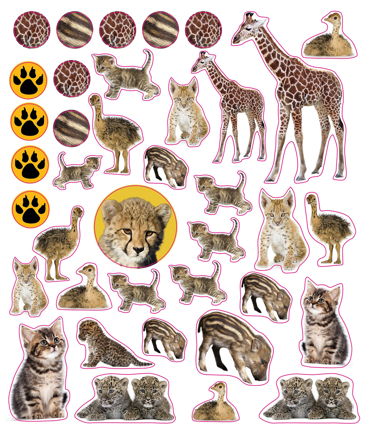 Eyelike Stickers: Baby Animals