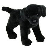 Black Lab Chester