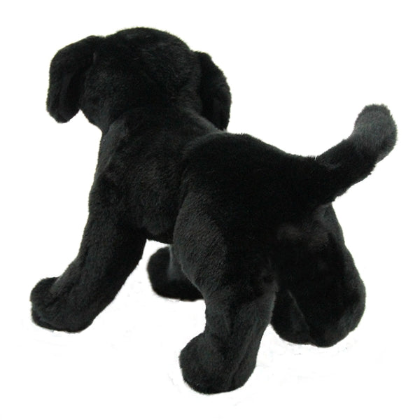 Black Lab Chester