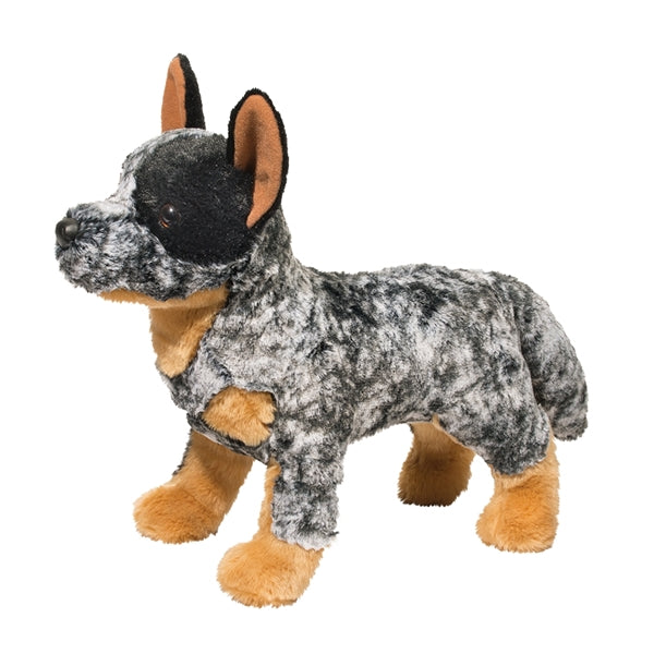 Australian Cattle Dog Bolt