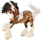 Gypsy Vanner