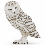 Snowy Owl