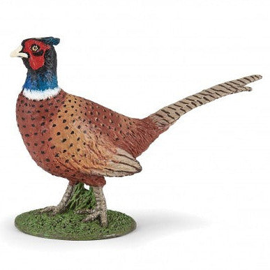 Pheasant