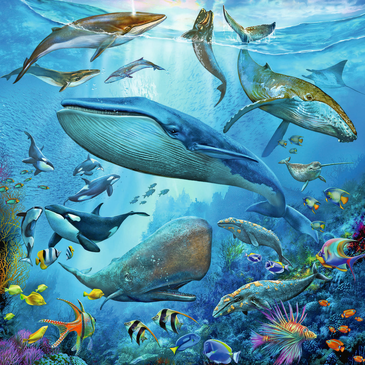 49pc Ocean Life Puzzles