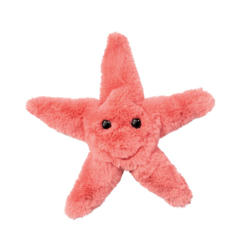 Starfish Coral