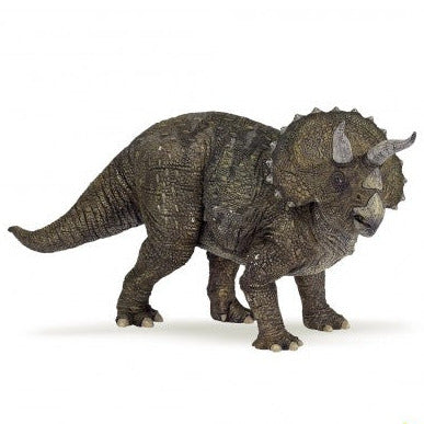 Triceratops