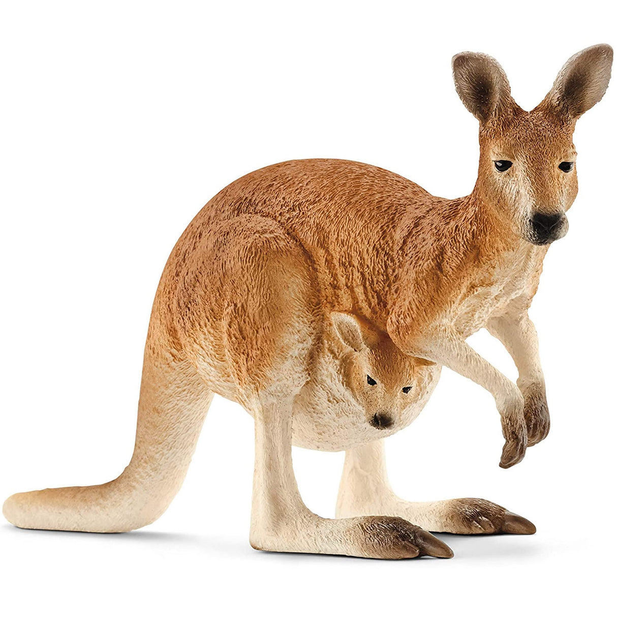 Kangaroo & Joey