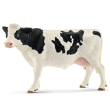 Holstein Cow