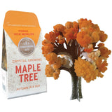 Crystal Grow Maple Tree