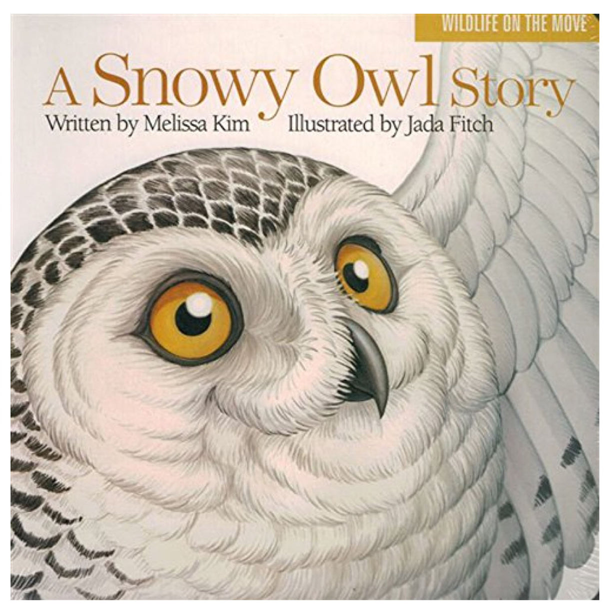 A Snowy Owl Story