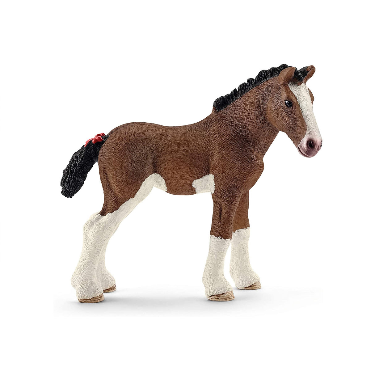 Clydesdale Foal