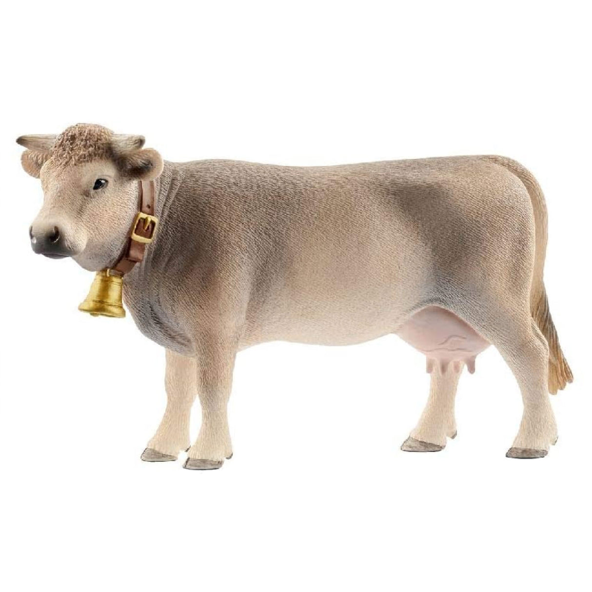 Braunvieh Cow