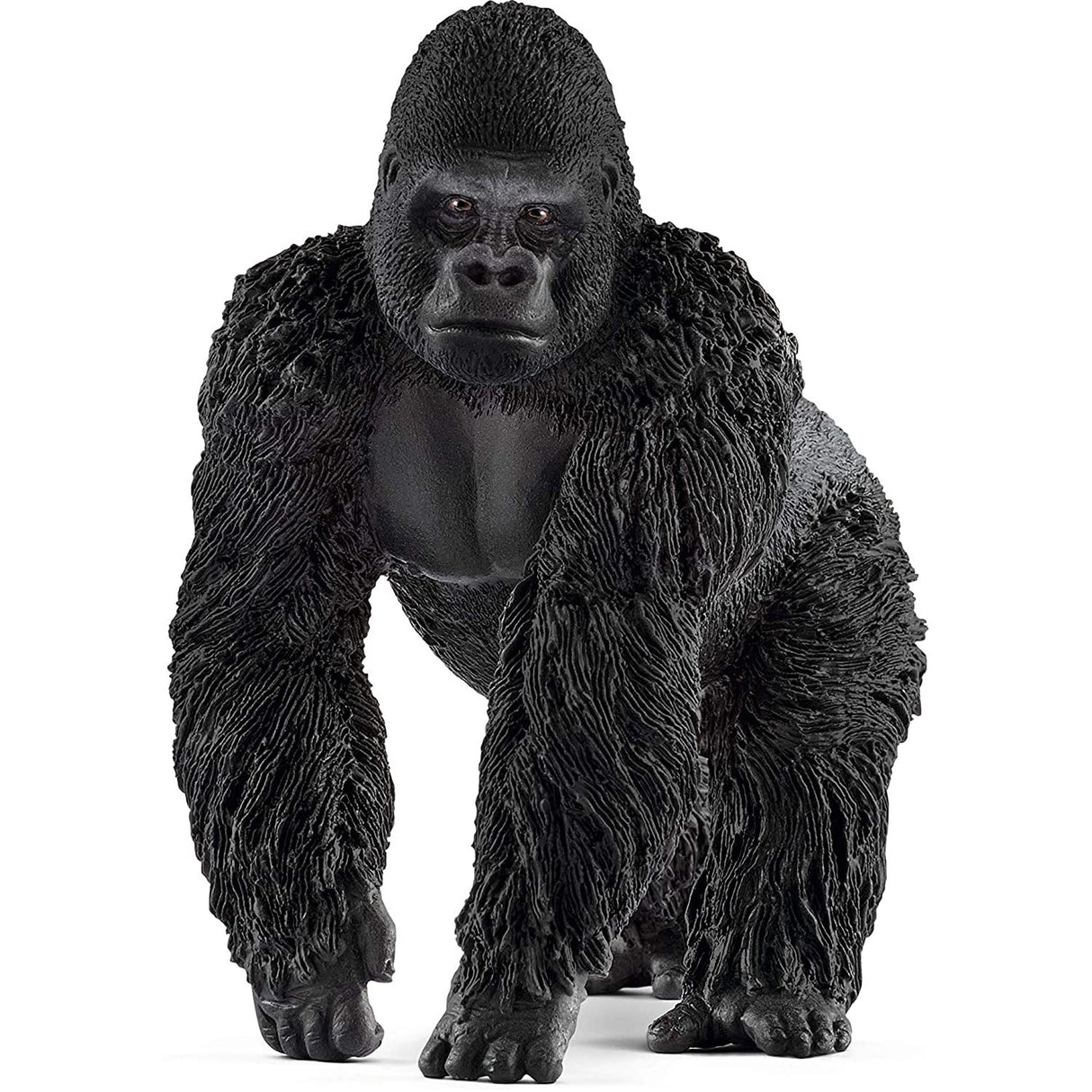 Gorilla Male