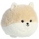 Cream Pom Teddy Pet