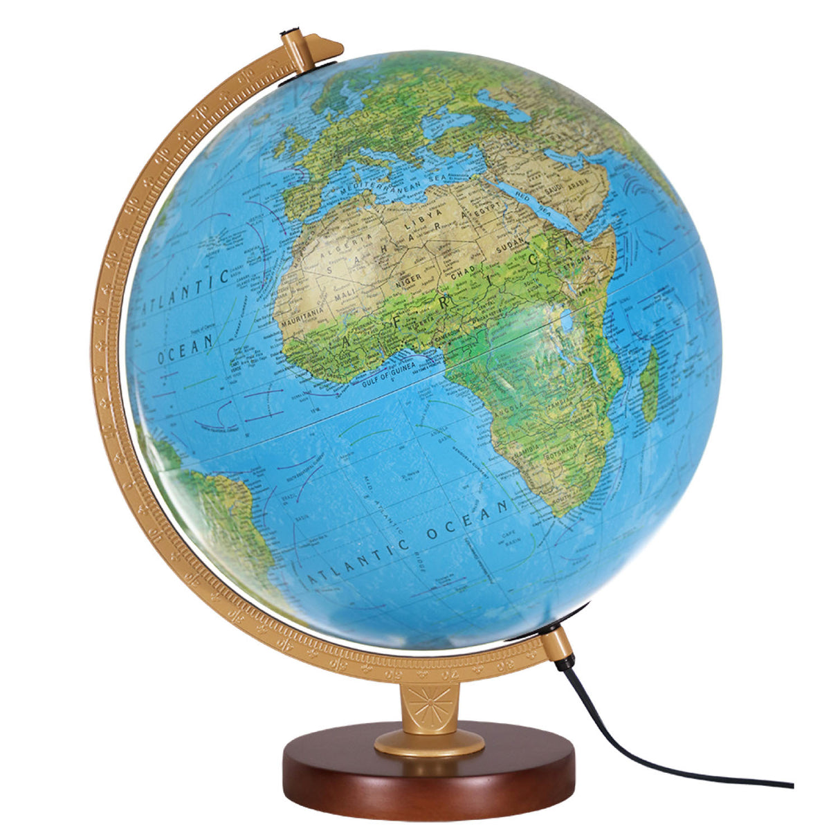 Livingston Light-Up Globe