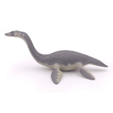 Plesiosaurus