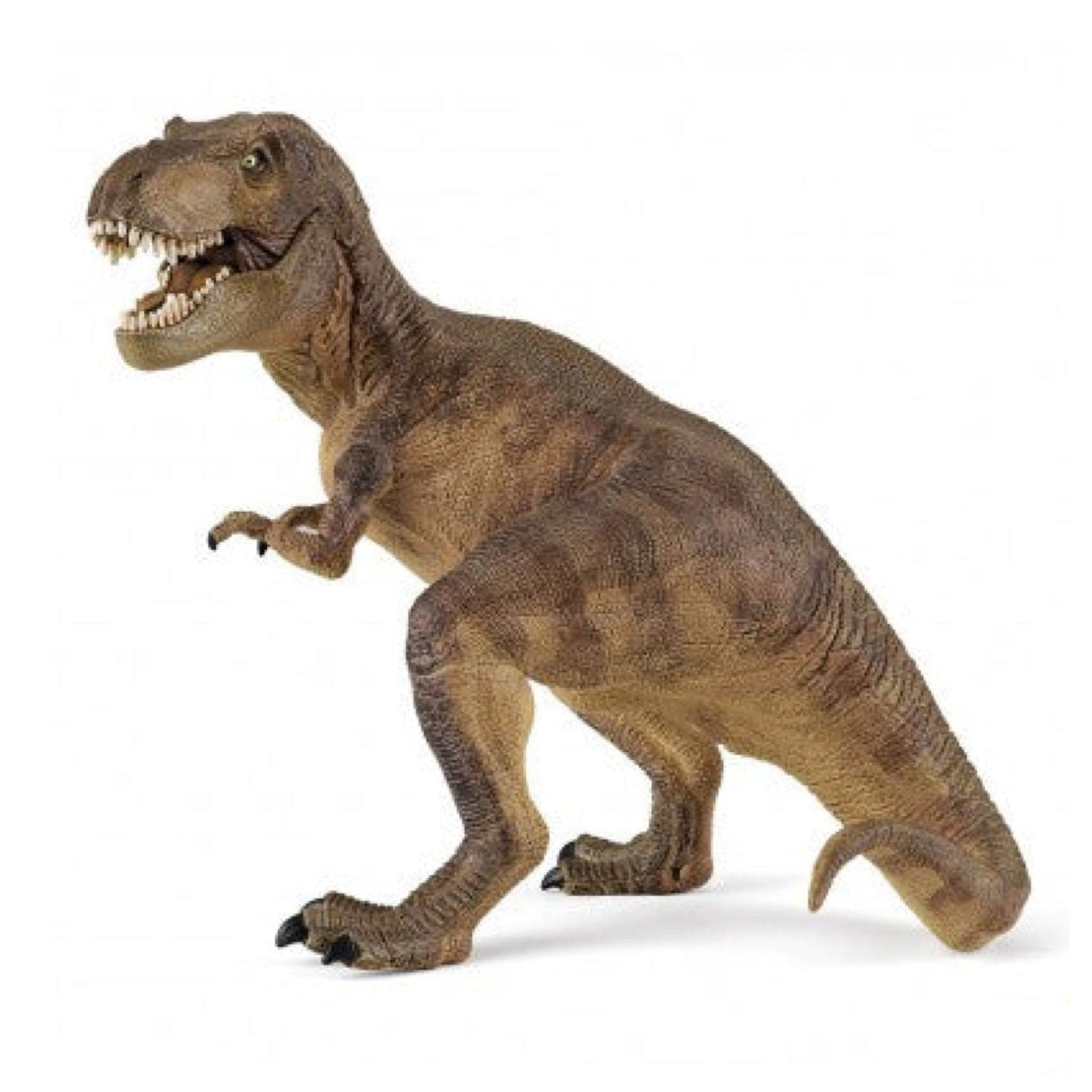 Tyrannosaurus Rex