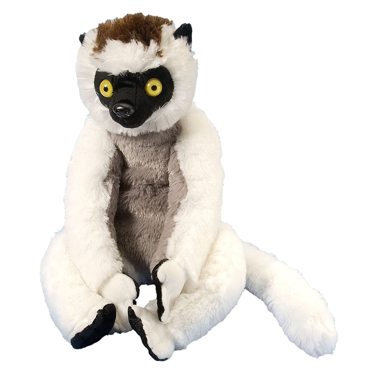 Sifaka Monkey