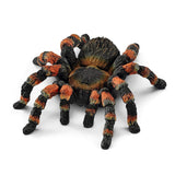 Tarantula