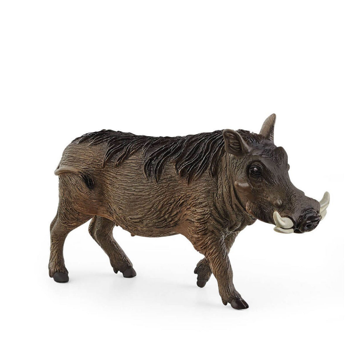 Warthog